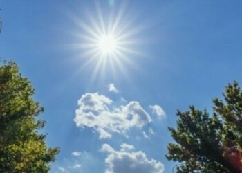 Parashikimi i motit për sot, 8 Gusht 2023