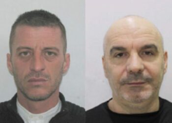 Të dyshuar për atentatin! Si u liruan dy të afërmit e Erjon Alibejt?