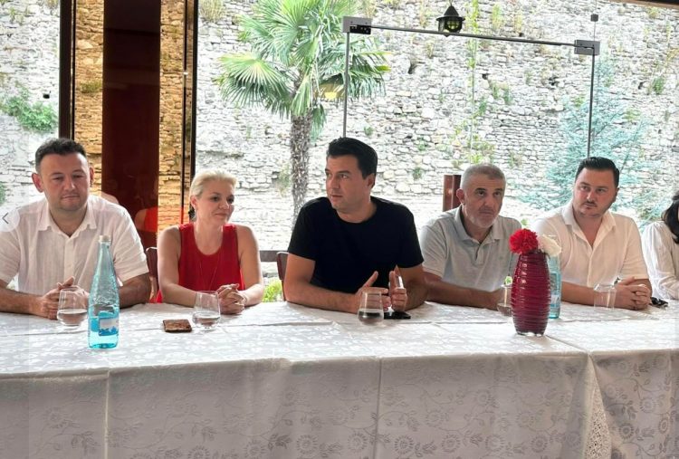 Kuvendi Kombëtar i PD më 2 shtator, Basha: Do sjellë ndryshime