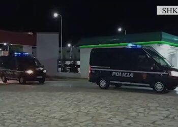 Lufta kundër kanabisit në veri të vendit/ 1 i arrestuar, 10 në kërkim