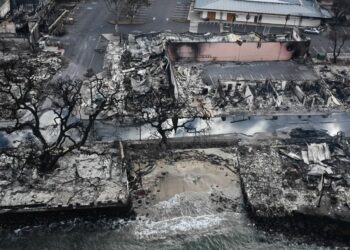 Mbi 55 viktima nga zjarret në Havai