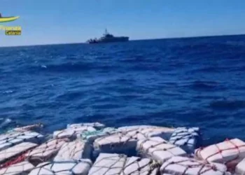 Rrjetet shqiptare të drogës “zëvendësojnë “marijuanën” me kokainën