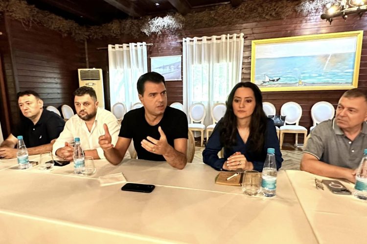 Investitorët strategjikë, Basha: Do i hetojmë nga Kuvendi ata që…