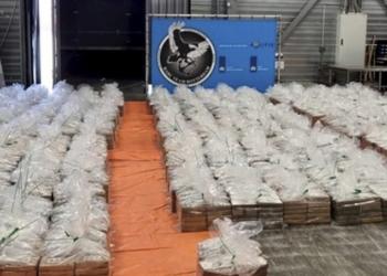 E fshehur në kontejner bananesh, kapen 8 tonë kokainë