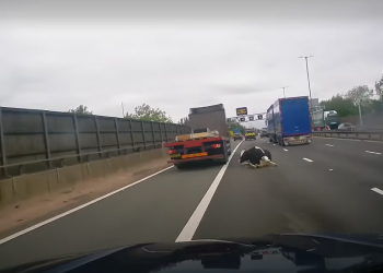 VIDEO/ Lopa bie nga kamioni, bllokohet autostrada