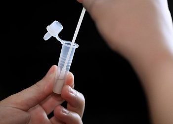 Rikthehet virusi i rrezikshëm në Greqi