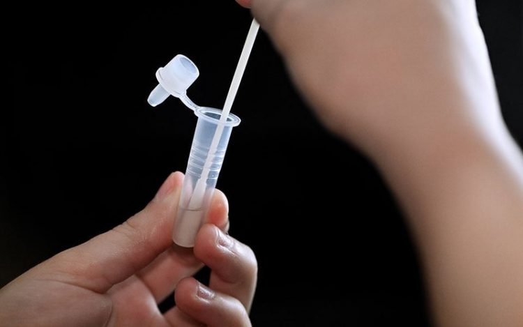 Rikthehet virusi i rrezikshëm në Greqi