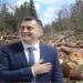 Gledjan Llatja xhiron 250 MLN lekë pa garë tek oligarkët e pyjeve