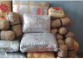 Aktiviteti i rrjeteve shqiptare të drogës mbetet i lartë në Greqi