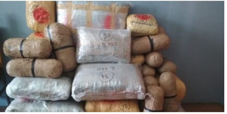 Aktiviteti i rrjeteve shqiptare të drogës mbetet i lartë në Greqi