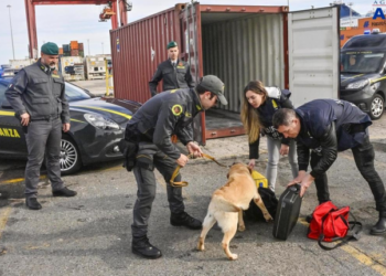 Kokainë nga Ekuadori, arrestohet 23-vjeçari shqiptar në Itali