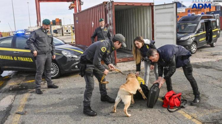 Kokainë nga Ekuadori, arrestohet 23-vjeçari shqiptar në Itali