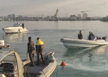 Operacioni antidrogë/ Zbardhen emrat e të arrestuarve, mes tyre…