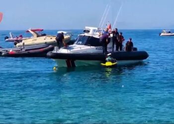 Operacion ndërkombëtar droge, goditet grupi kriminal