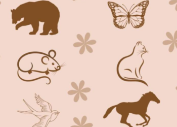 Test personaliteti, zgjidhni një figurë për të mësuar fuqinë tuaj