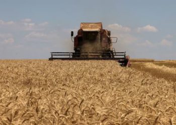 Marrëveshja e grurit, SHBA: Rusia përgatitet për t’u ulur në bisedime