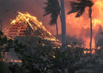 Digjet Hawaii! Rritet bilanci, 53 të vdekur dhe 1000 të zhdukur