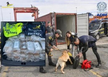 Sekuestrohet droga me vlerë 35 mln euro, arrestohet 1 shqiptar