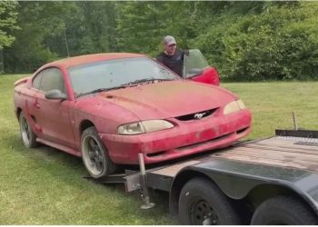 Makina e braktisur merr trajtim, kthehet në një ‘bishë’