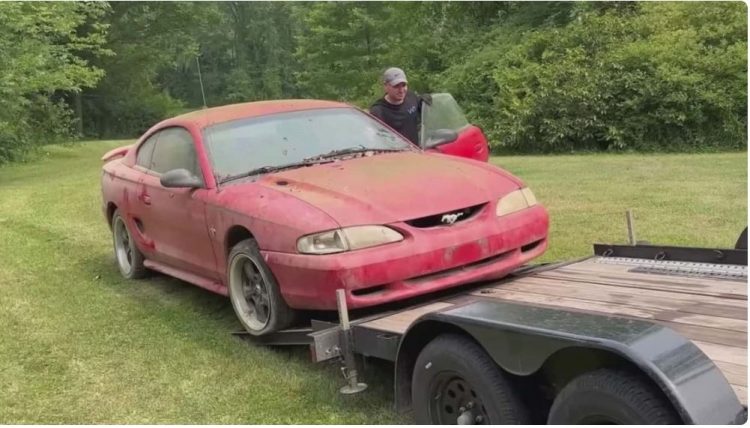 Makina e braktisur merr trajtim, kthehet në një ‘bishë’