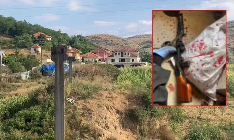 U ekzekutua nga RENEA, Ramiz Muçollari kishte qenë dje në Psikiatri