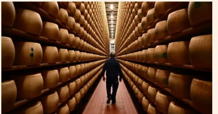 E zënë poshtë rrotat e djathit, vdes i moshuari