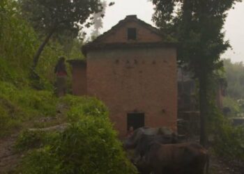 16-vjeçarja vdes gjatë ushtrimit të praktikës lokale