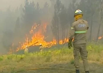 Vijojnë vatrat e flakëve në Portugali, 1400 persona u evakuuan