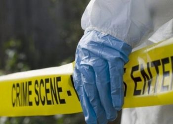 Vritet argjentinasja, arrestohet zvicerani/ Detajet