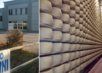 Rrotat e djathit e zënë poshtë 75-vjeçarin, vdes pronari