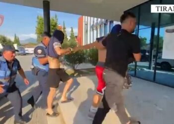 Plagosi dy persona, arrestohet 35-vjeçari. Detajet