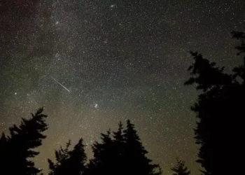 Nata e San Lorenzo-s, bien njëqind yje në çdo orë. Ja si t’i vëzhgoni