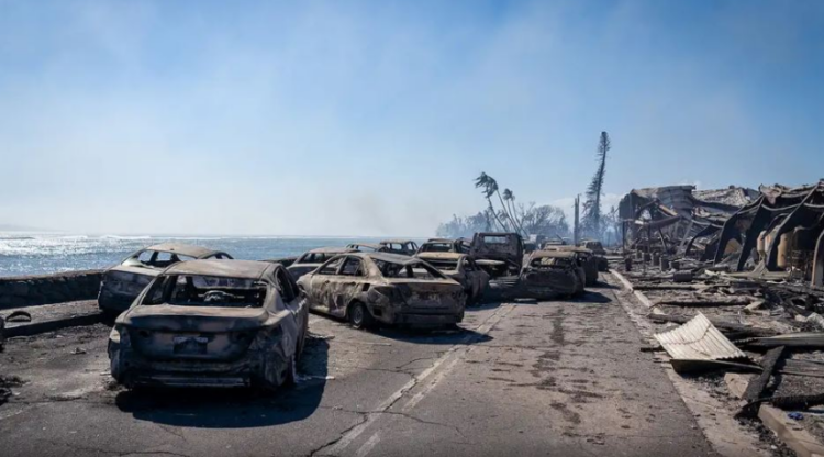 Zjarret në Hawaii, paralajmërohet dyfishim i numrit të viktimave