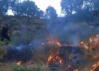 Shuhet pas 6 orësh zjarri në Labovë të Gjirokastrës, rrezikoi banesat