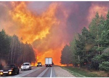 Greqia me ‘dorë të hekurt’ ndaj zjarrvënësve, gjobë deri 30 mijë euro