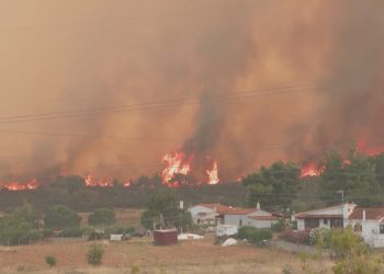 Humbi punën pas djegies së hotelit, i riu shqiptar bie pre e mashtrimit