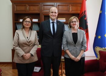 Për çfarë u dakordësua i dërguari amerikan me dy deputetet e Ligjeve