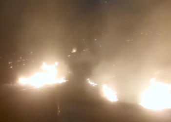 Zjarr i madh në Fier, flakët përhapen në pyllin e Darzezës