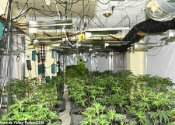 Dy vjet burg për 2 shqiptarët. Shkuan në Britani duke paguar 6 mijë £ dhe përfunduan në… (Emrat)