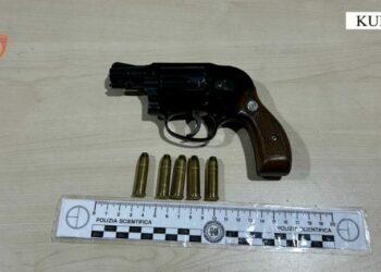 28-vjeçari në Kurbin arrestohet për të dytën herë për të njëjtin krim