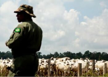 Qeveria e Brazilit nis operacion “Eraha Tapiro”