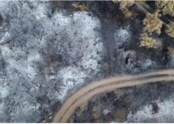 Ja si është shkretuar Evros nga zjarret në Greqi (VIDEO)