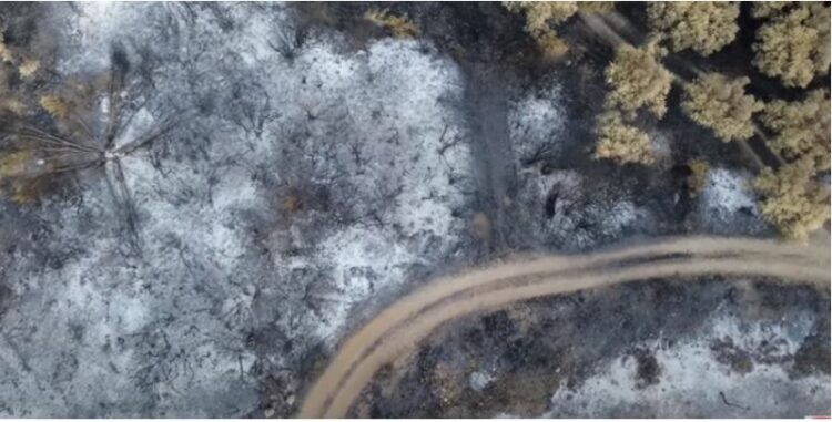 Ja si është shkretuar Evros nga zjarret në Greqi (VIDEO)