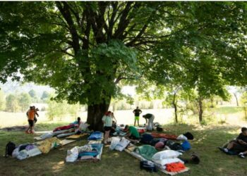 Gara e Përtacëve, 5 çifte në konkurrencë të fortë (VIDEO)