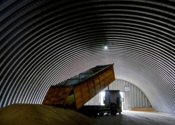 Kievi thotë se ka nisur eksportin e grurit përmes porteve kroate