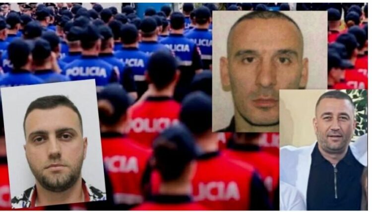 ‘Mos dil sot’, lidhjet e biznesmenit Gjoka me efektivët e Shkodrës