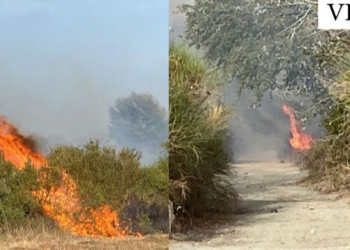 Zjarrvëniet në Vlorë, policia arreston 59-vjeçarin