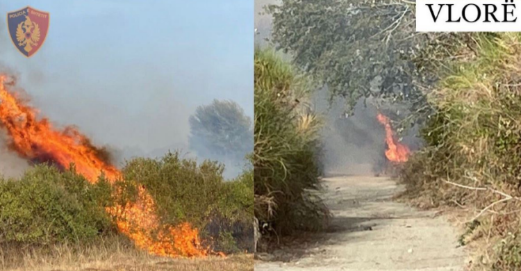 Zjarrvëniet në Vlorë, policia arreston 59-vjeçarin