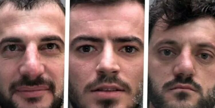 U kapën në “fermë kanabisi”, burg për tre shqiptarët