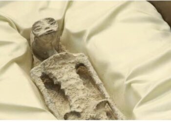 Eksperti i UFO-ve shfaq “kufomat e alienëve” para Kongresit amerikan